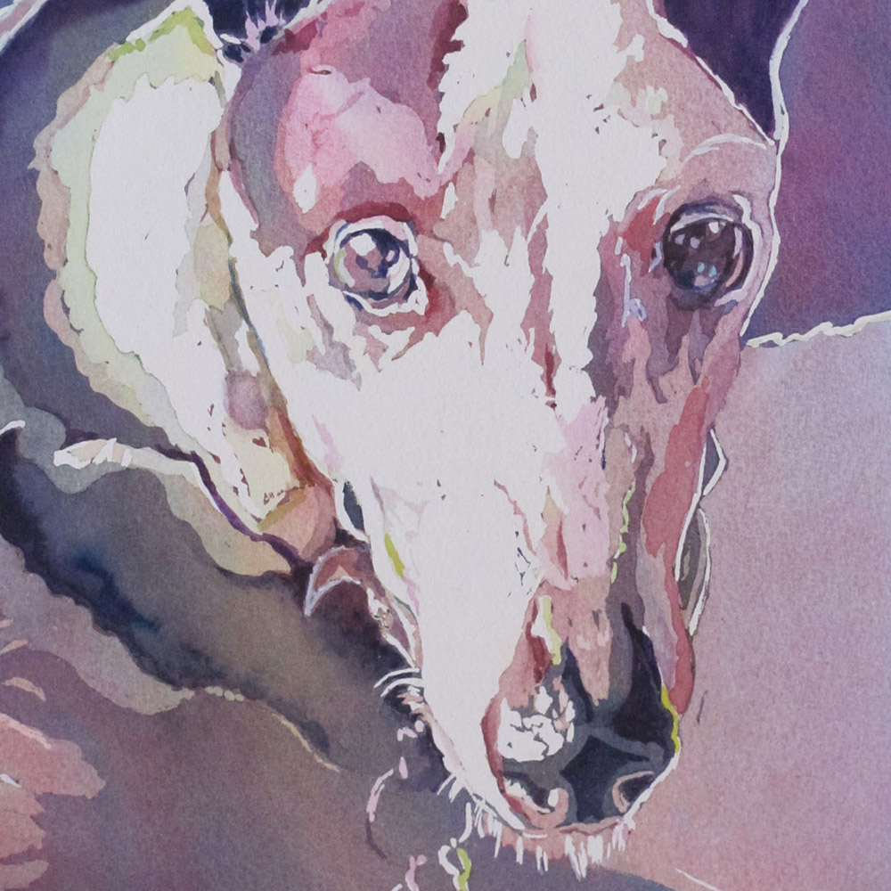 Maxine Nobbe