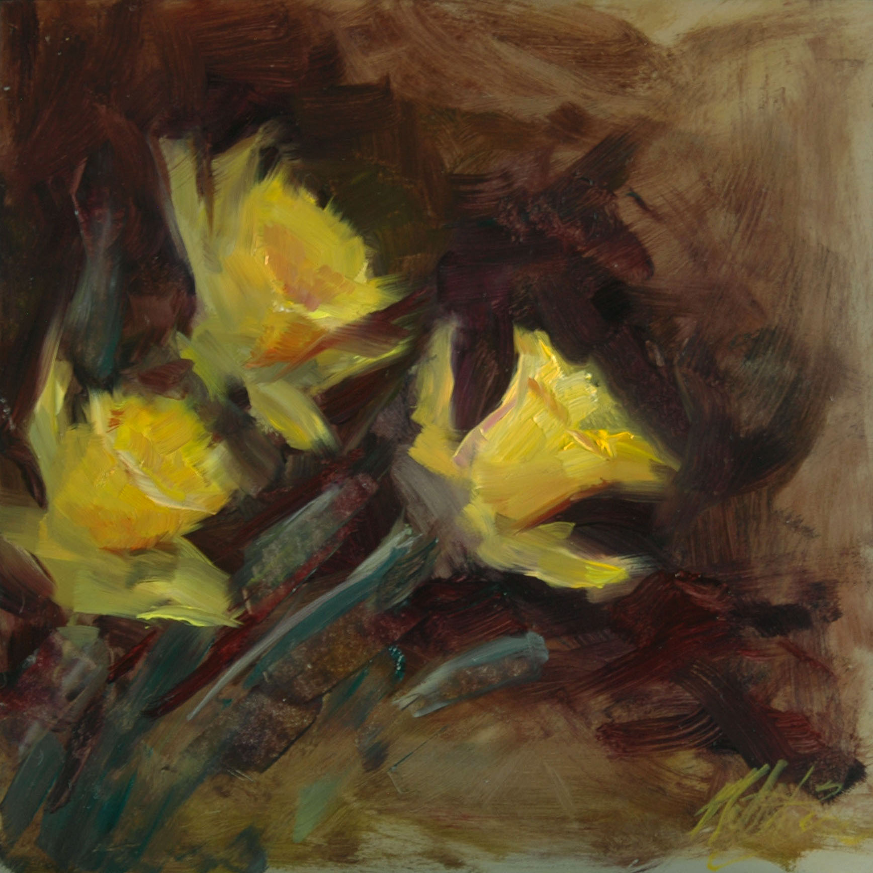 Brandner_Narcissus